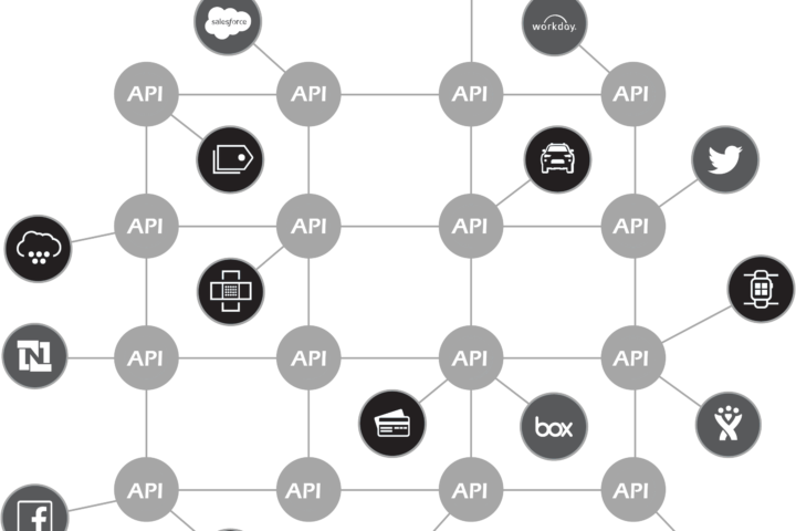 API Lifecycle Management