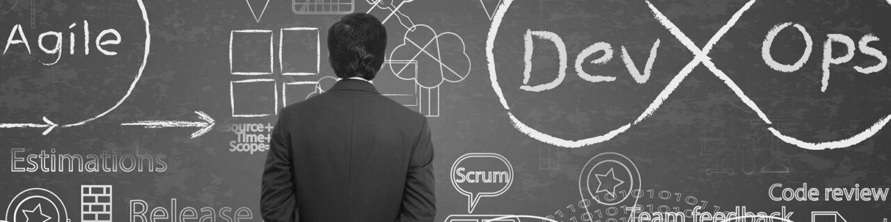Project Coaching and Auditing
