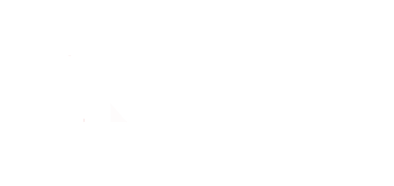 Schweizerische Management Gesellschaft