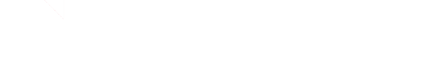 VIW Wirtschaftsinformatik Schweiz