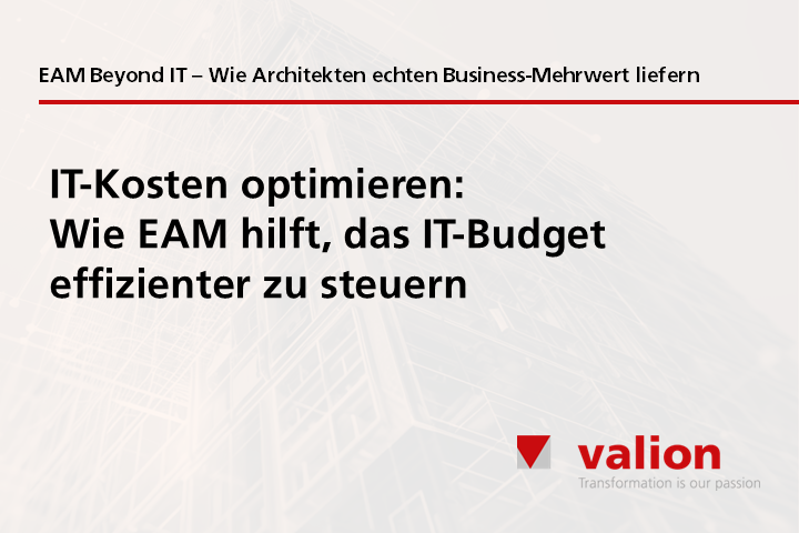 IT Budget