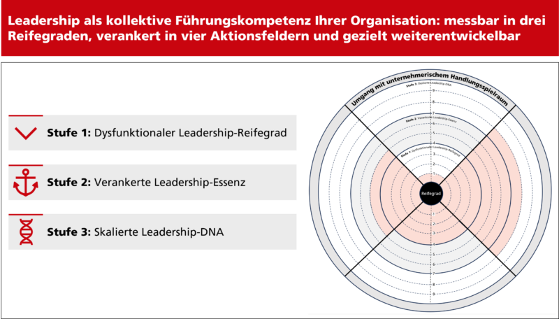 Collective Leadership Assessment